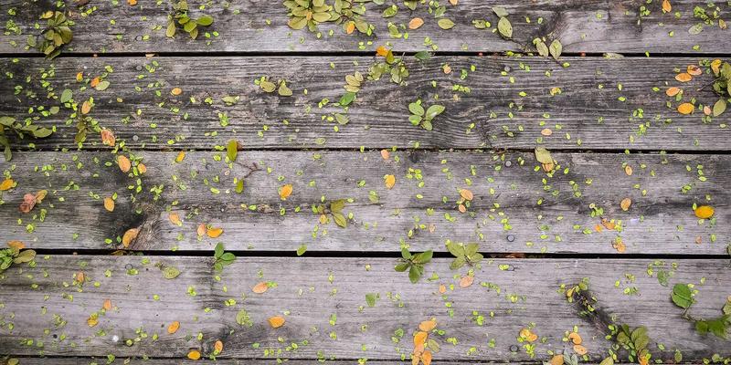 从被动录像到主动威慑:揭秘声光报警与远程喊话如何重塑安防监控新范式