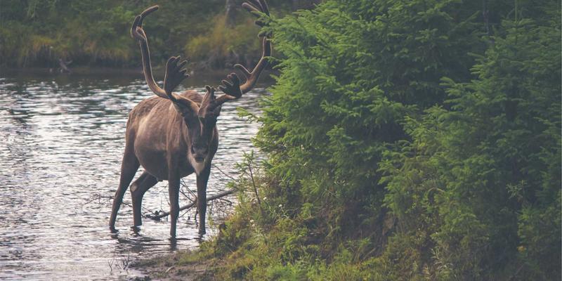 守护店铺资产：专业级防盗监控布局方案与天成威视设备实战推荐