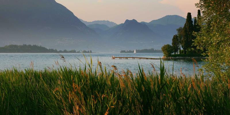 智慧校园新防线：构建电子围栏、一键报警与智能视频巡查三位一体的立体安防网