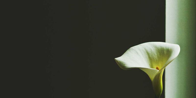 破解低温监控难题：冷链物流仓储安防监控解决方案，如何守护每一份品质与安全